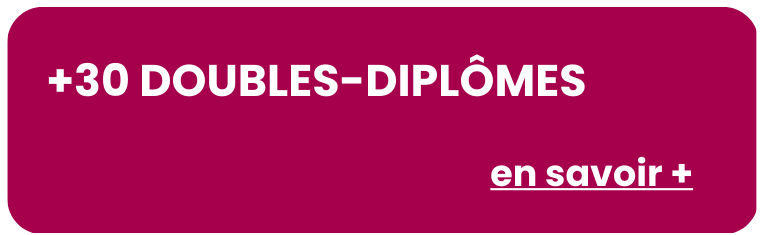 Ingénieur ENSEA : 30 doubles-diplômes possibles