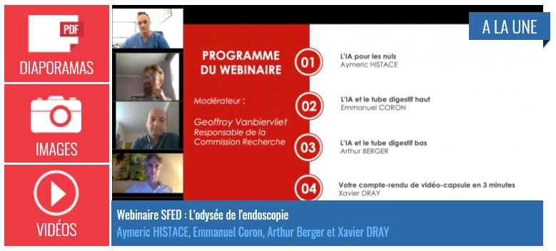 Webinaire-SFED-L'ODYSSÉE DE L'ENDOSCOPIE 