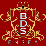 Logo BDS 2020