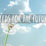 Seeds Future Huawei